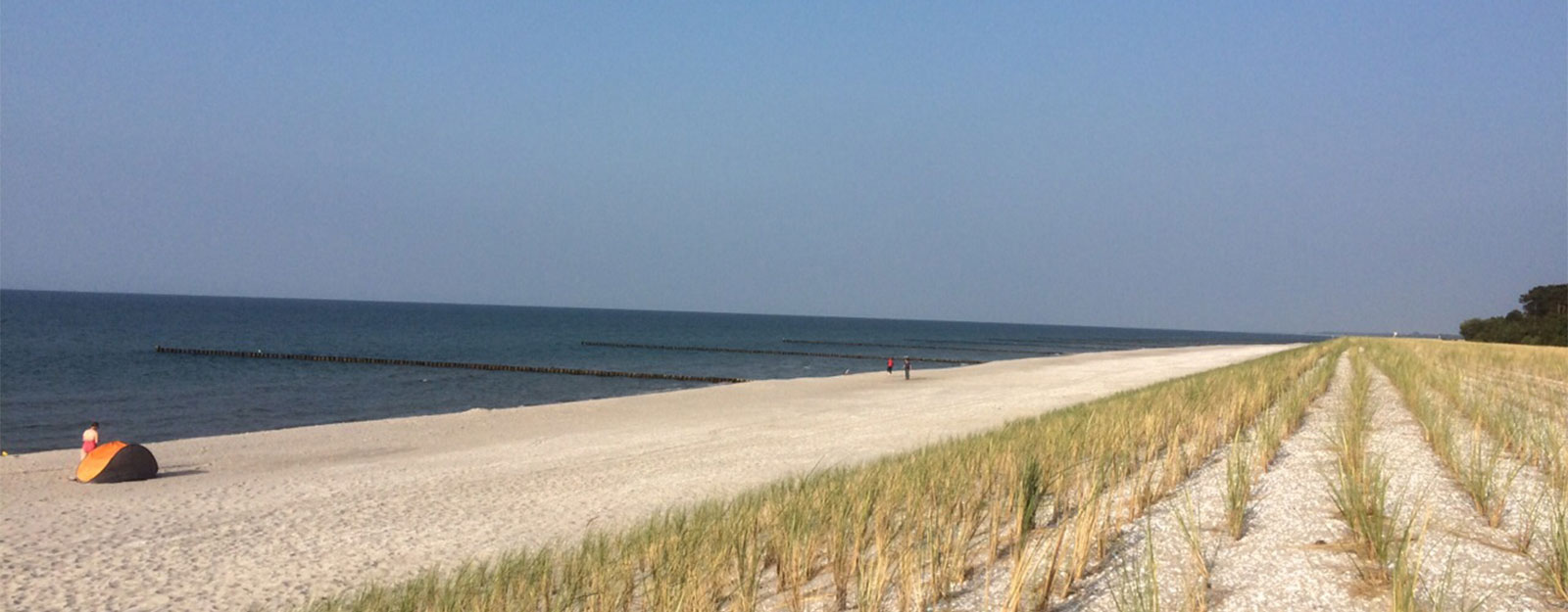 Strand Düne